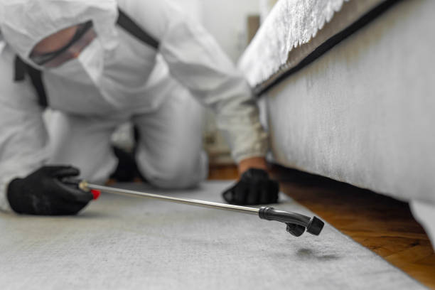 Professional Bed Bug Control technician working in Big River, CA